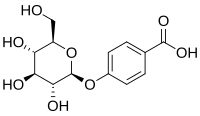 Chemical structure of p-hydoxybenzoic acid glucoside