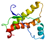 Prion protein in its properly folded form