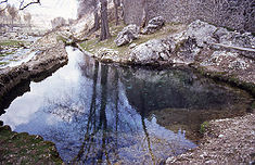 Nacimiento del río Segura