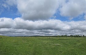 Grassy flatlands with rolling hills in the Drohobych Raion