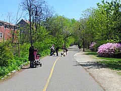 A rail trail in a suburban area