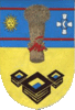 Coat of arms of Tymanivka