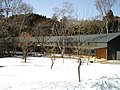 2008年2月12日 (火) 13:13時点における版のサムネイル