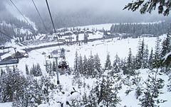 Looking northward, down the liftline, in 2010