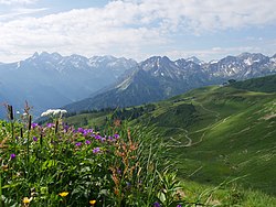 Sonja Luisa87 Neu! mit Wildblumen beim Fellhorngipfel im Allgäu