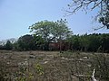 Vista de la hacienda Yaxnic.