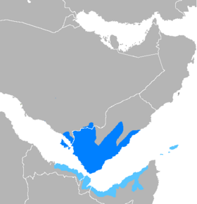 Image illustrative de l’article Arabe yéménite