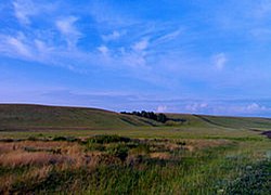 Ishim Mounds, Ishimsky District