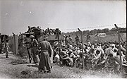 Des hommes palestiniens dans la ville de Ramle vus derrière une clôture de barbelés, avant d'être expulsés par les forces israéliennes (juillet 1948).