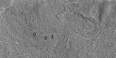 Brain terrain being formed, as seen by HiRISE under HiWish program. Arrows point to locations where the brain terrain is starting to form.