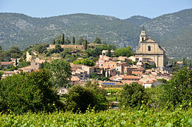 Bédoin et son vignoble.