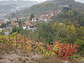 Frazione Carola vista dalla collina Saletta.