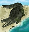 Artist's rendering of Deinosuchus rugosus