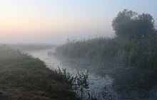 Petit cours d'eau, dans un brouillard matinal, traversant un pré.