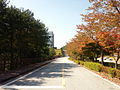 한국교통대학교
