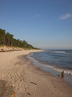 Beach in Kuźnica