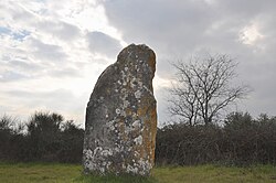 Image illustrative de l’article Menhir de Courbessac