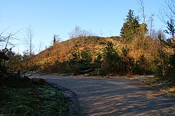 Hügel mit der Motte Montferland (um 1000)