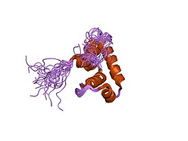 Solution structure of sigma70 region 4 from Thermotoga maritima