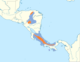 Distribución geográfica del campanero tricarunculado.