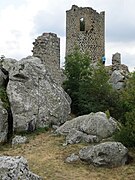 Château de Roche-en-Régnier.