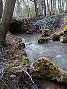 Le Rouillon à Épinay-sur-Orge.