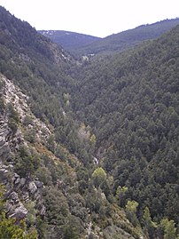 La vallée du Runer marquant la frontière hispano-andorrane à l'est de la vallée de la Valira