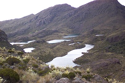 Siete Lagunas ("Seven Lakes") on Cáchira's páramo