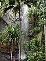 Cascade de la Vallée de Mai.