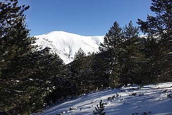 Поглед на Гочев врх