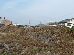 土塁と天守台と石垣の一部