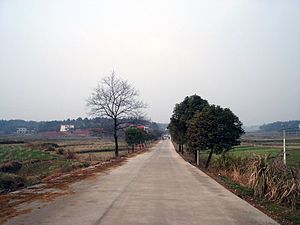 道林镇的乡村路。