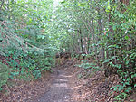 Hohlweg bei der Huberkapelle