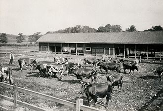 Redskapsliden, Bränninge 1910.