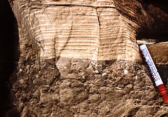 Cycle émersif métrique (autocycle) entre deux lacunes de dépôt. Laminations algaires dolomitisées au sommet. Lias moyen du Haut Atlas, Maroc.