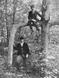 Two men, one sitting on a tree branch, the other standing beneath it