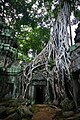 Ta Prohm, Siem Reap