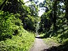 Hadleigh Railway Walk