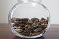 House crickets as food (or ingredient)
