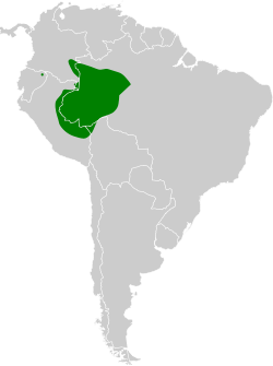 Distribución geográfica del trepatroncos de Stresemann.