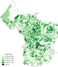 White-Irish