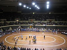 Photographie vue de côté d'une partie de roller derby