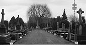 Le cimetière de Mons-en-Barœul où repose Typhaine