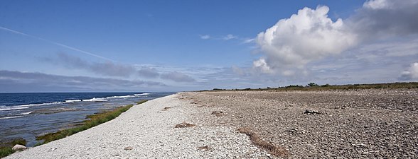 Neptuni åkrar, ett klapperstensfält på norra Öland.