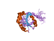 1x5e: The solution structure of the thioredoxin-like domain of human Thioredoxin-related transmembrane protein