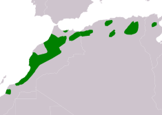 Área de distribución de Pica mauritanica