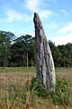 Menhir de la Vieille Métairie.