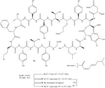 6 - Deprotection