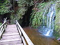 Upper fall and water reservoir