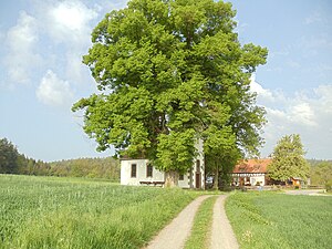 Die Schnepfenkapelle bei Bimbach